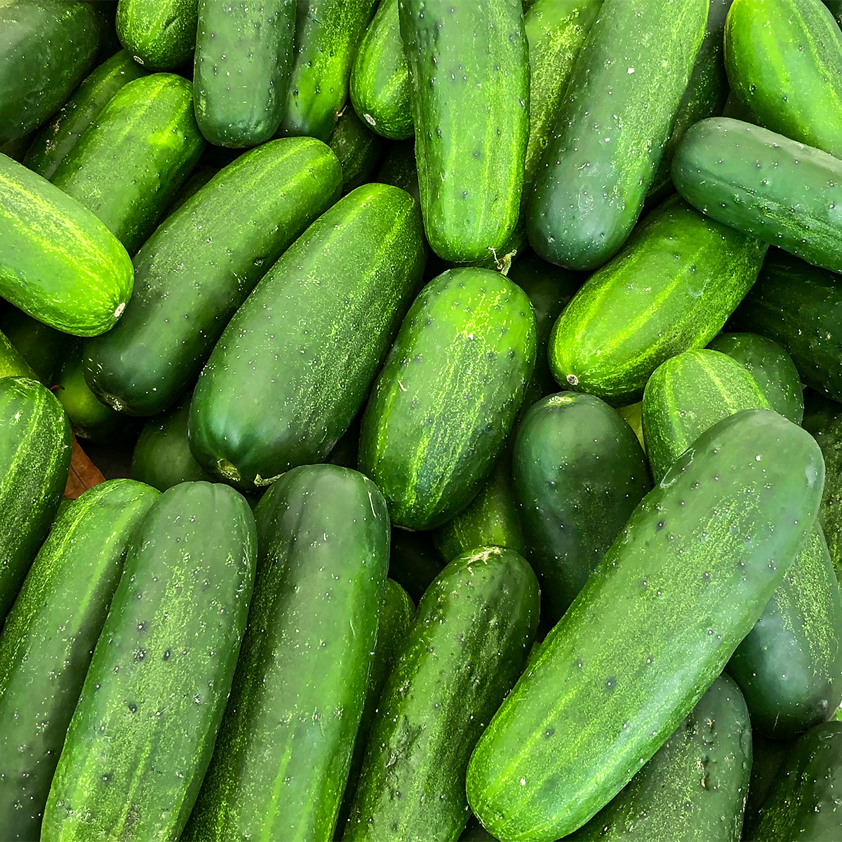 cucumbers